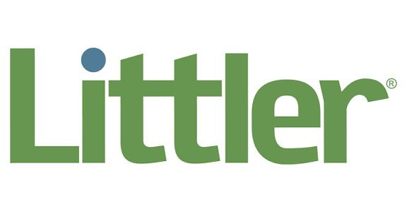 WhatsApp Image 2026-02-19 at 11.39.47 PM